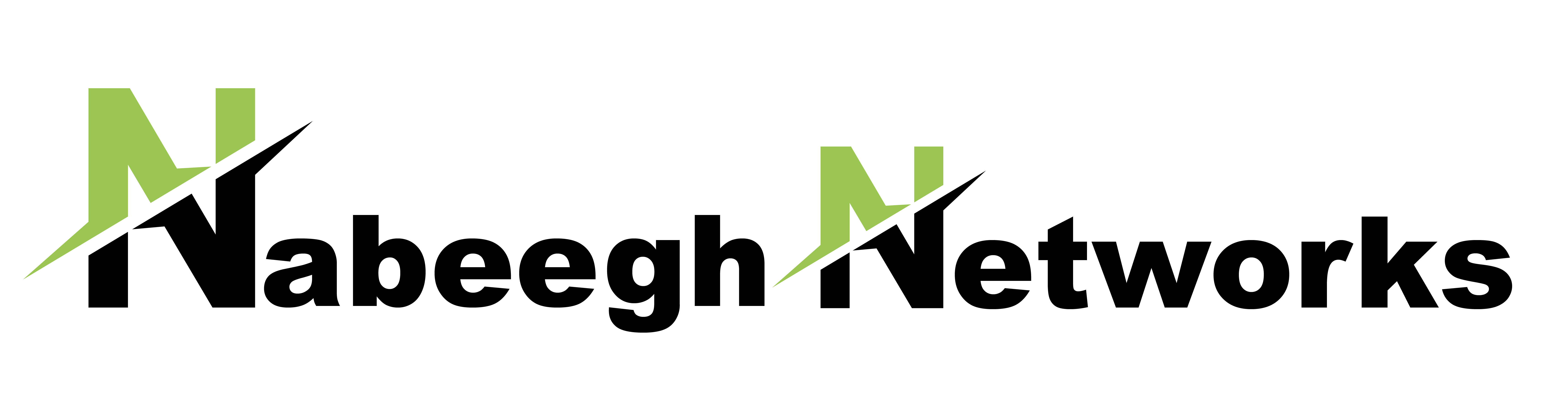 Nabeegh Networks web Logo-01